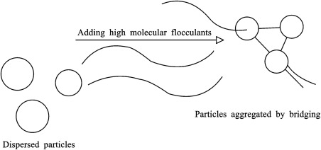What are Flocculants Used For? – A Comprehensive Guide to Their Role in Water Treatment