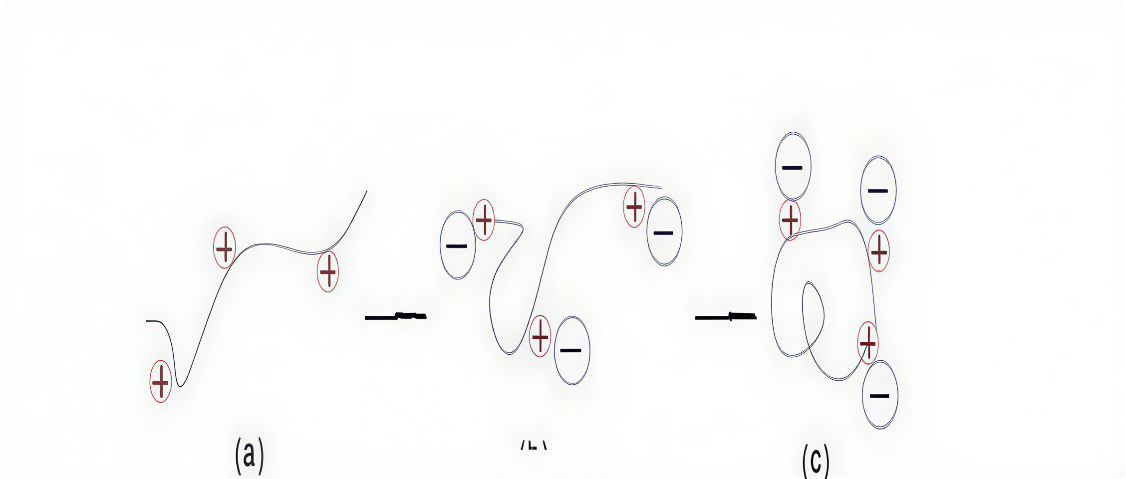 Diagram illustrating the coagulation process and flocculant bridging mechanism