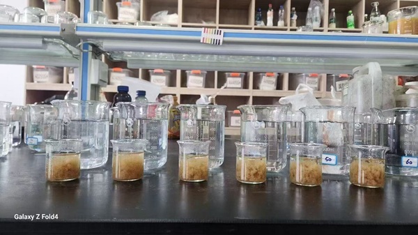 Polyaluminum chloride coagulation and flocculation process diagram Polyaluminum chloride coagulation and flocculation process diagram