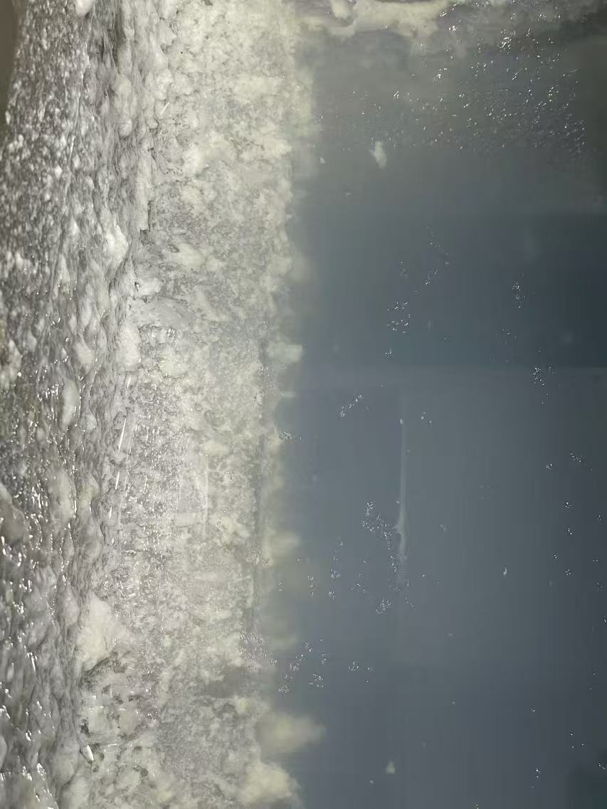 The invisible penalty of poor prep. These gelatinous "fish-eyes" create unworkable viscosity and consume chemical product without contributing to flocculation.