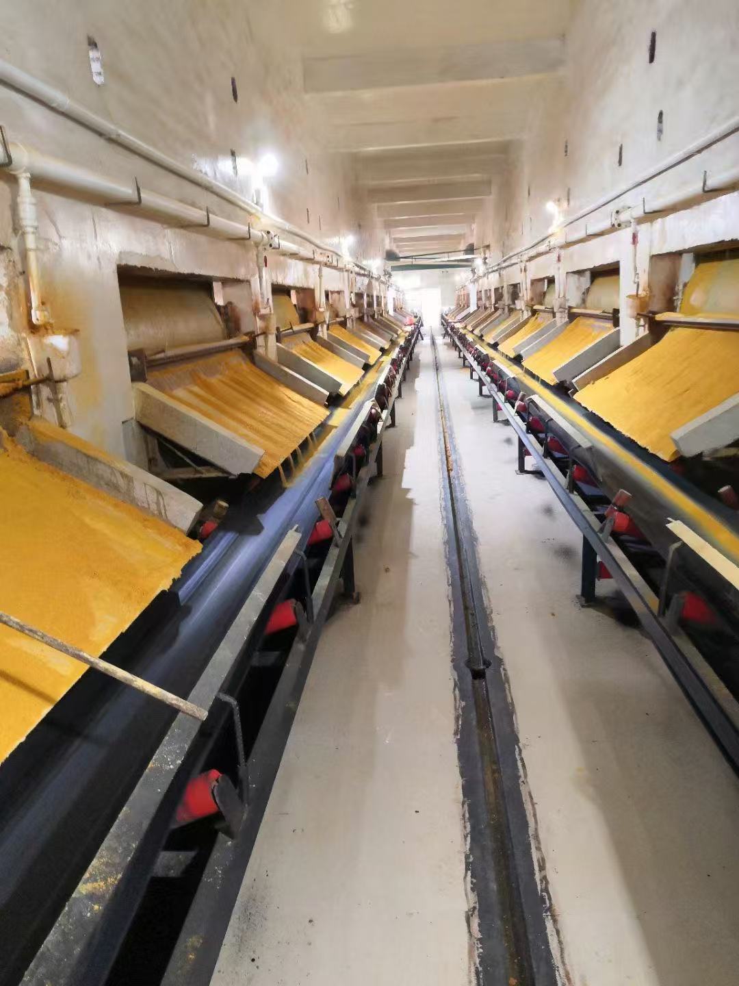 Drum-type PAC Production Equipment Drum-type PAC Production Equipment