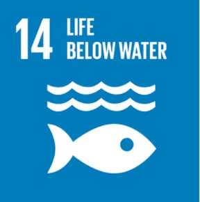 Oceans without microplastics Oceans without microplastics