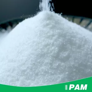 Anionic Polyacrylamide (APAM)